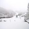Neve sull’appennino toscano, all’Abetone. Mezzo metro in Val di Luce