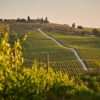 Chianti, l’80 per cento dei vacanzieri proviene dalle regioni del centro e del nord Italia
