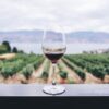 Settore del vino in crisi, crollo consumo del 70%