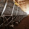 Commercio al dettaglio, Istat stima valori positivi