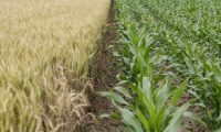 Nuove risorse per le imprese agricole toscane che riducono l'impatto delle lavorazioni