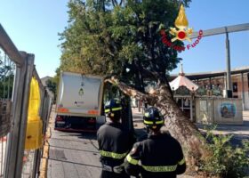 Firenze: albero cade su camion dei rifiuti in piazza Gino Bartali