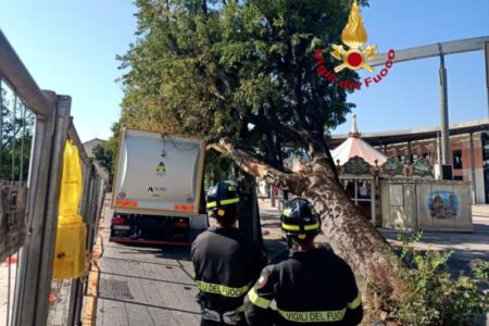 Firenze: albero cade su camion dei rifiuti in piazza Gino Bartali