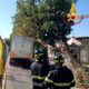 Firenze: albero cade su camion dei rifiuti in piazza Gino Bartali