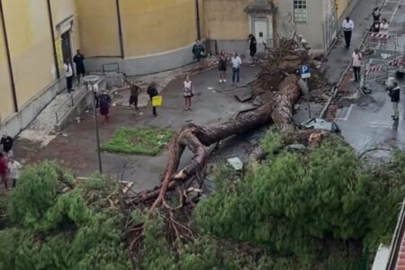 Maltempo in Toscana: alberi caduti e stabilimenti balneari danneggiati in Versilia, lungomare allagato a Massa